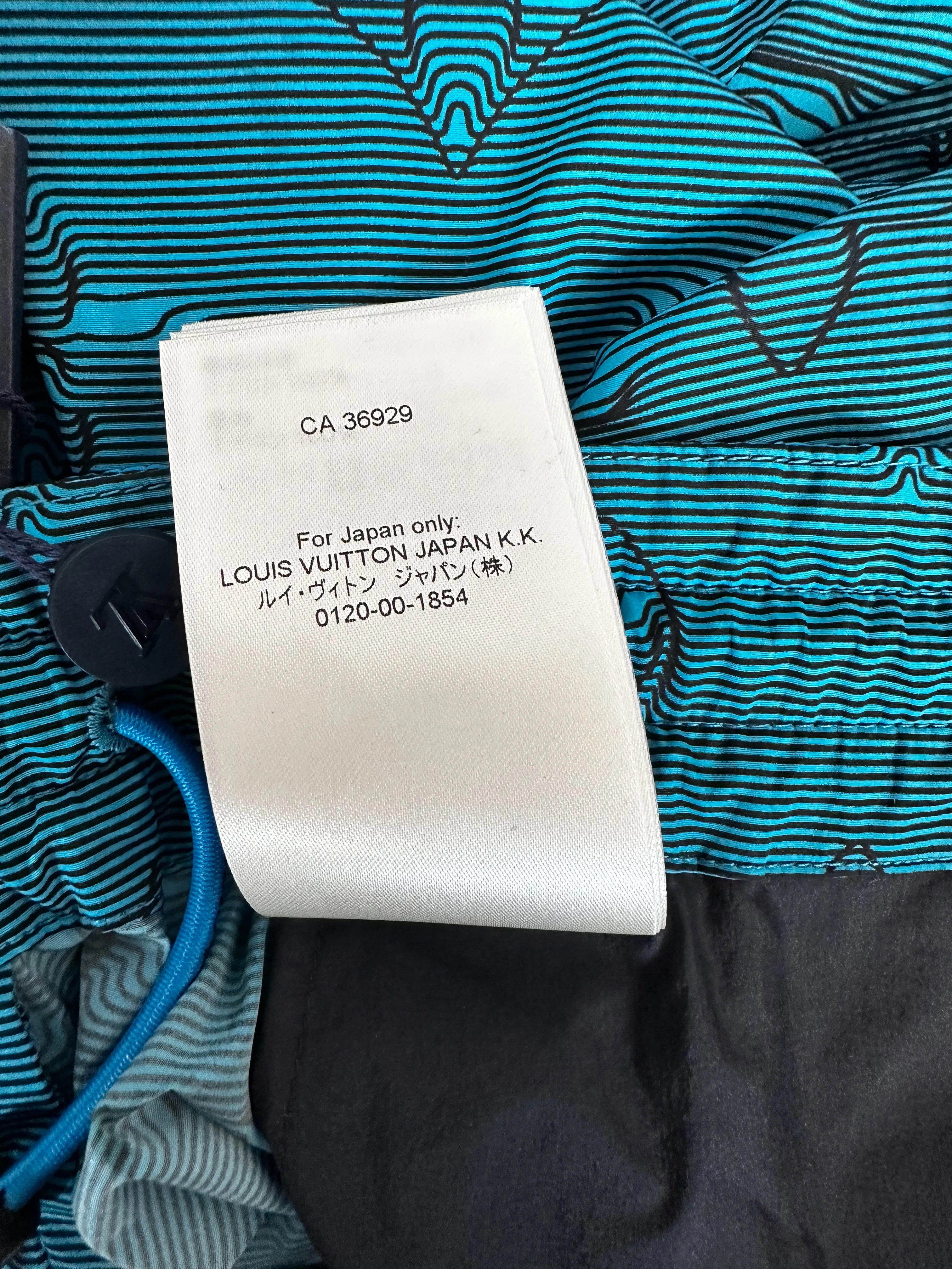 Louis Vuitton Blue 2054 Monogram Cargo Pants